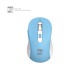 R8 1735 Wireless Mouse